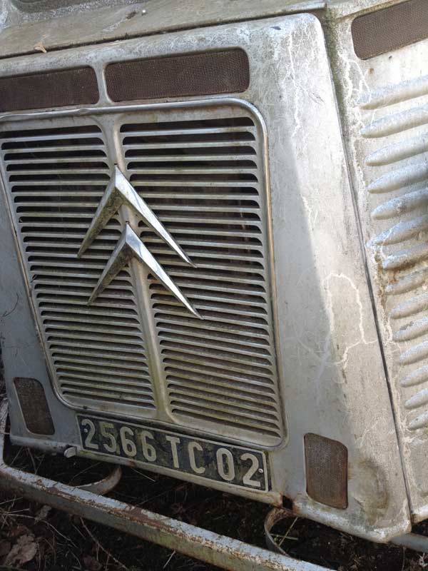 foto_20_sm.jpg