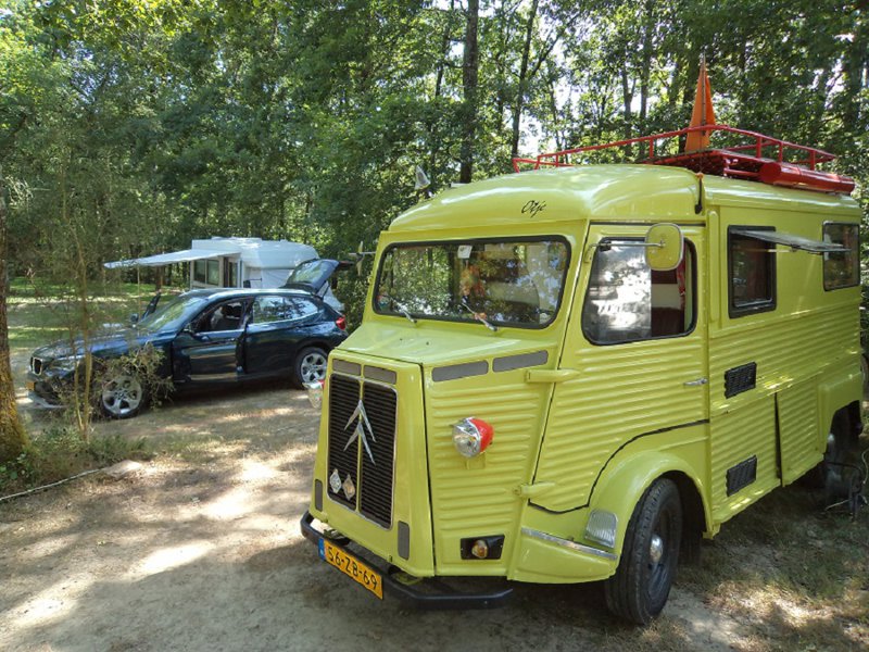 DSC01454-klein.jpg