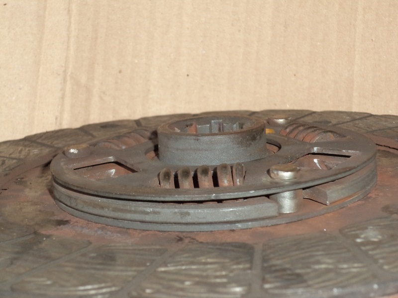 DSC01499-klein.jpg