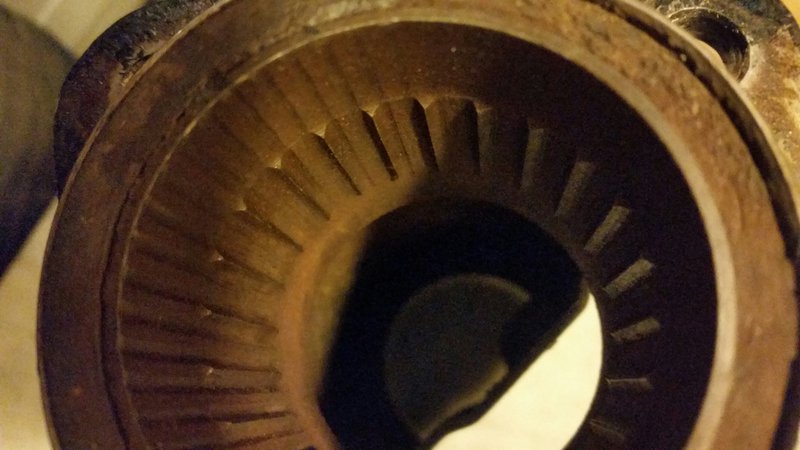 20150829_235838_resized_3.jpg