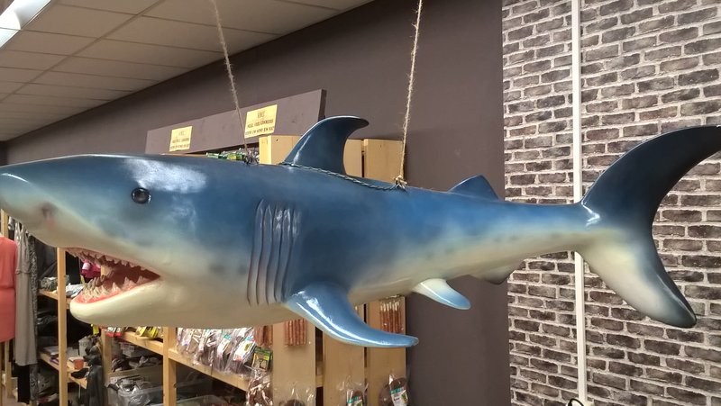 WP_20180906_15_25_47_Pro.jpg