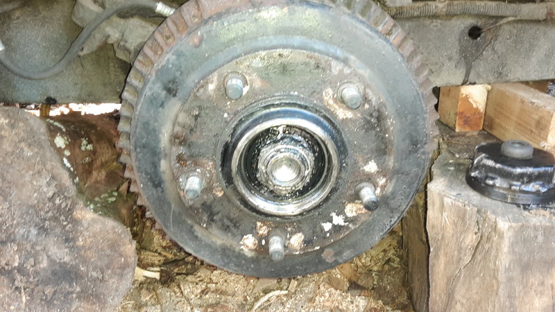 20190225_142033.jpg