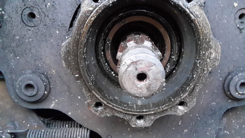 20190305_181357.jpg