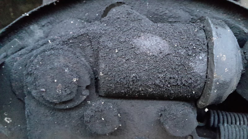 20190305_181410.jpg