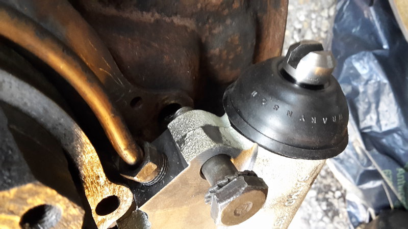 20190401_180558.jpg